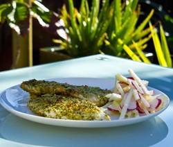 Almond and Parmesan Crusted Chicken with Coleslaw