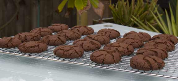 chocolate-biscuits