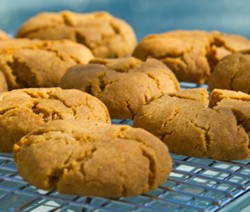 Cornish Fairings