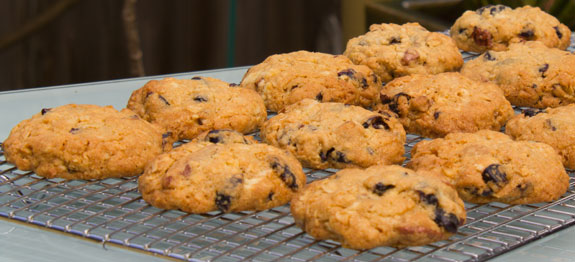 cranberry-and-peacan-biscuits