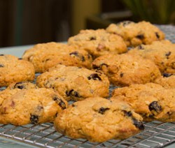 Cranberry and Pecan Oat Biscuits