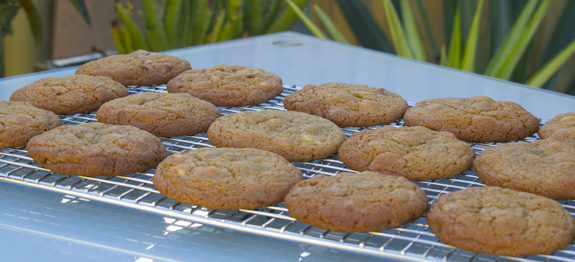 double-chocolate-chip-biscuits