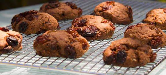 run-and-raisin-biscuits